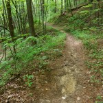 North Harper Creek Trail