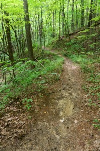 North Harper Creek Trail