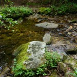 North Harper Creek Crossing