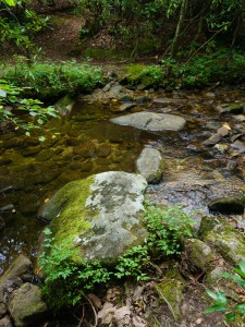 North Harper Creek Crossing