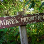 Lichen-Encrusted Laurel Mountain Sign