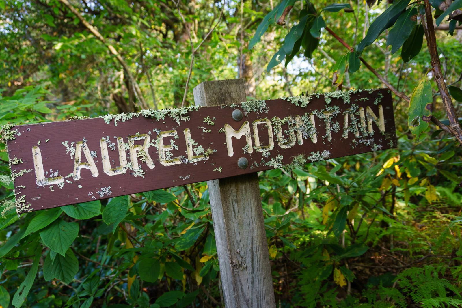 2015-09-06_blue-ridge-parkway_buck-spring-trail-crusty-laurel-mountain-sign.jpg Lichen-Encrusted Laurel Mountain Sign