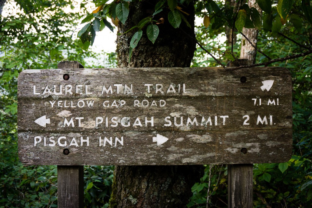 Laurel Mountain Directional Sign