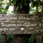 Laurel Mountain Directional Sign