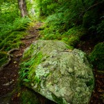 Rock Beside the Trail