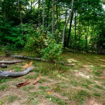 Campsite in Turkey Spring Gap