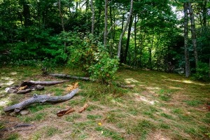 Campsite in Turkey Spring Gap