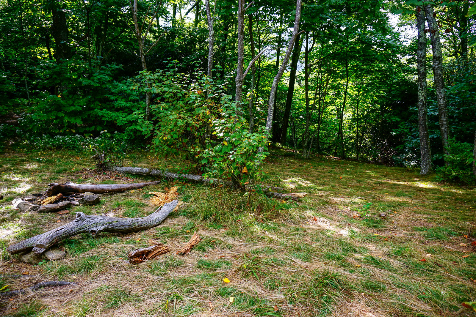 2015-09-06_pisgah-mills-river_laurel-mountain-trail-turkey-spring-gap-campsite.jpg Campsite in Turkey Spring Gap