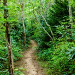 Pilot Rock Trail