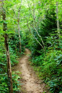 Pilot Rock Trail