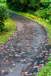 Early September Fall