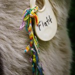 Flatt's Tag