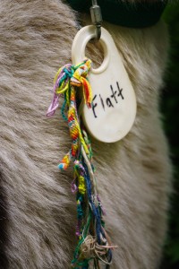 Flatt's Tag