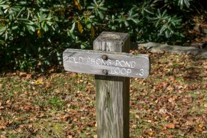 Sign for the Cold Prong Loop Trail