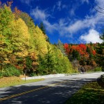 Fall Color at Stack Rock Creek Bridge