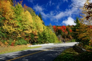 Fall Color at Stack Rock Creek Bridge