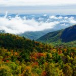 Fall Color in Lost Cove