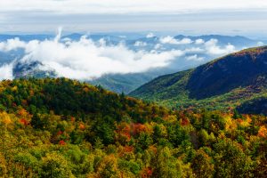 Fall Color in Lost Cove