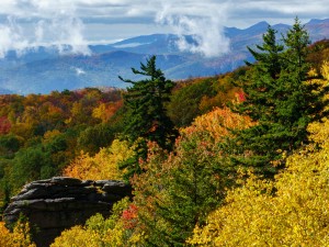 Fall Color from Stack Rock Creek Bridge