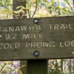 Tanawha Trail Cold Prong Loop