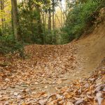 Black Montain Trail Banked Curve