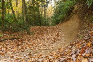 Black Montain Trail Banked Curve