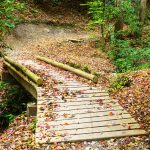 New Bridge on the Black Mountain Trail