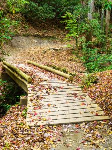 New Bridge on the Black Mountain Trail