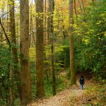 Hiking the Black Mountain Trail in Fall