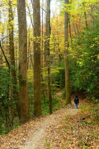 Hiking the Black Mountain Trail in Fall