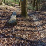 Squirrel Gap Trail Feature