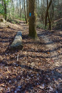 Squirrel Gap Trail Feature