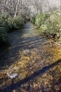 South MIlls River