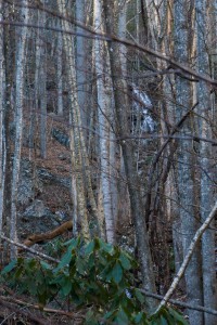 Waterfall on Tributary of Shope Creek from Logging Road