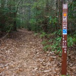 Lower Trace Ridge Rerouted Section