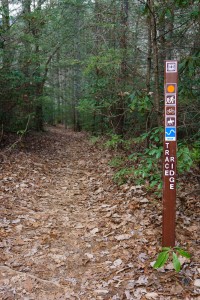 Lower Trace Ridge Rerouted Section