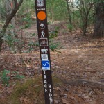 Lower Trace Ridge Sign