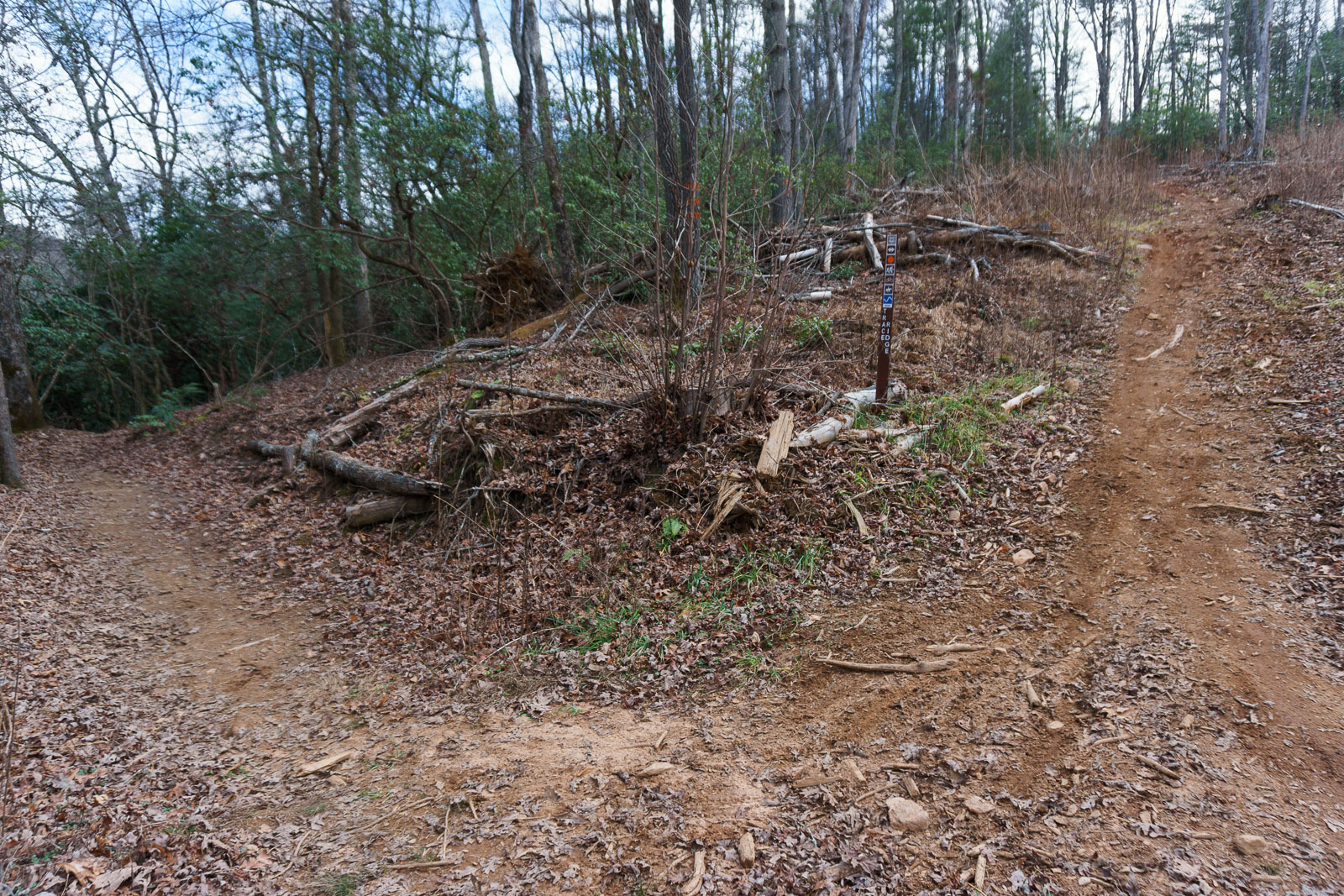 Lower Trace Ridge Reroute Curve