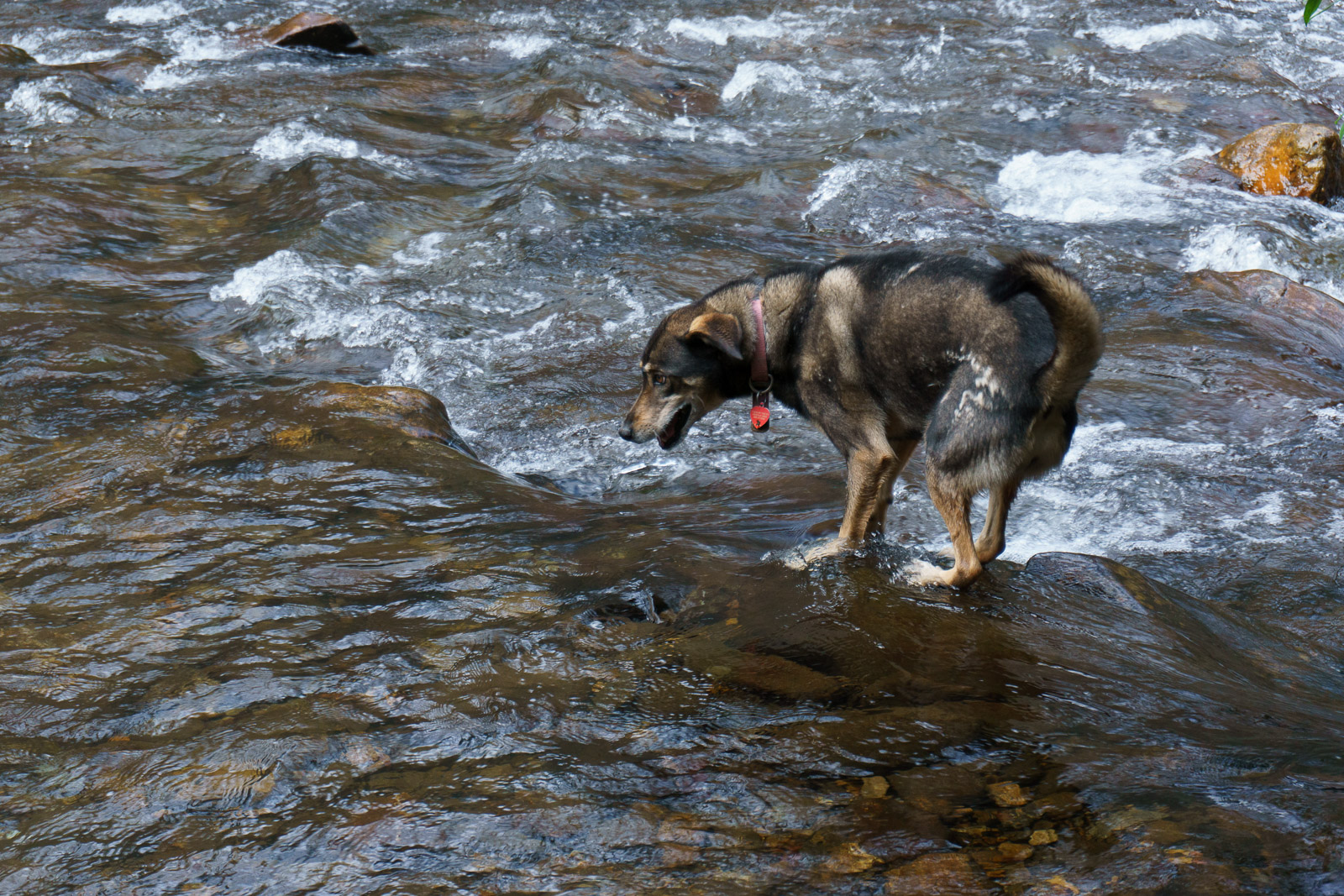 North Mills River Crossing.