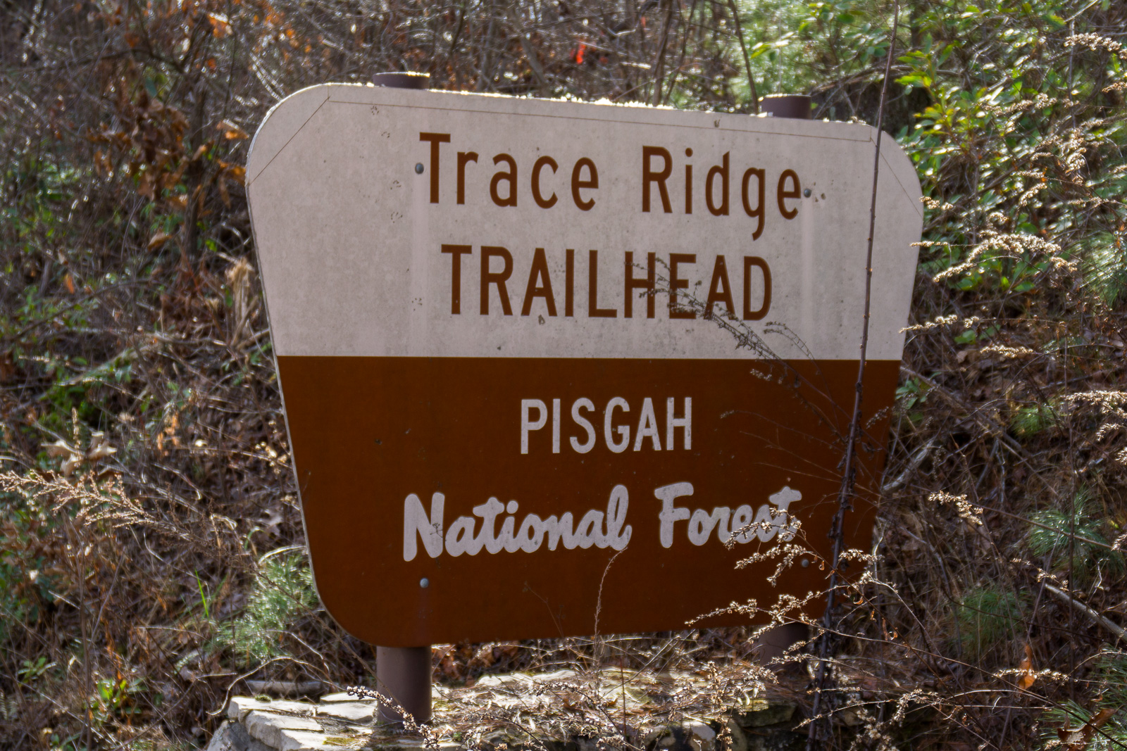 2015-12-13_pisgah-mills-river_trace-ridge-trailhead-sign.jpg Trace Ridge Trailhead Sign