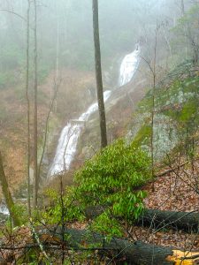 Toms Creek Falls From Higher View