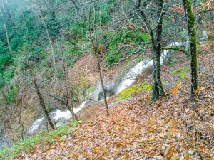 Toms Creek Falls from the Upper Path