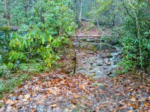 Old Trail to Harris Creek Horse Trail