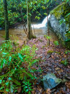 Small Cascade Above Toms Creek Falls