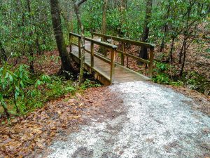 Bridge on the Toms Creek Falls Trail