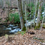 Thompson Creek Trail Crossing