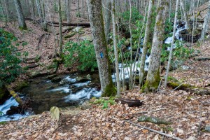 Thompson Creek Trail Crossing