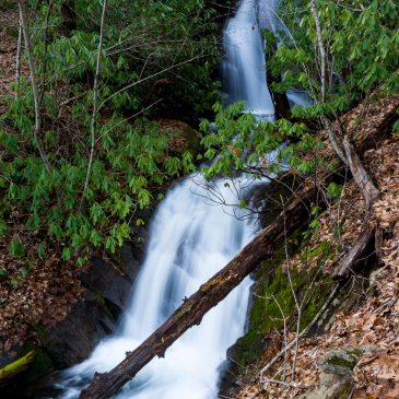 Trip Report: Pisgah Water Everywhere, and Much of it Falling