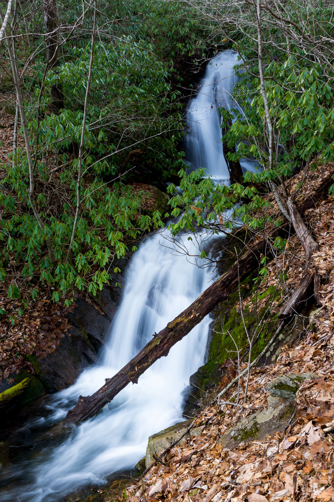 Lower Section of Waterfall on Tributary of Thompson Creek