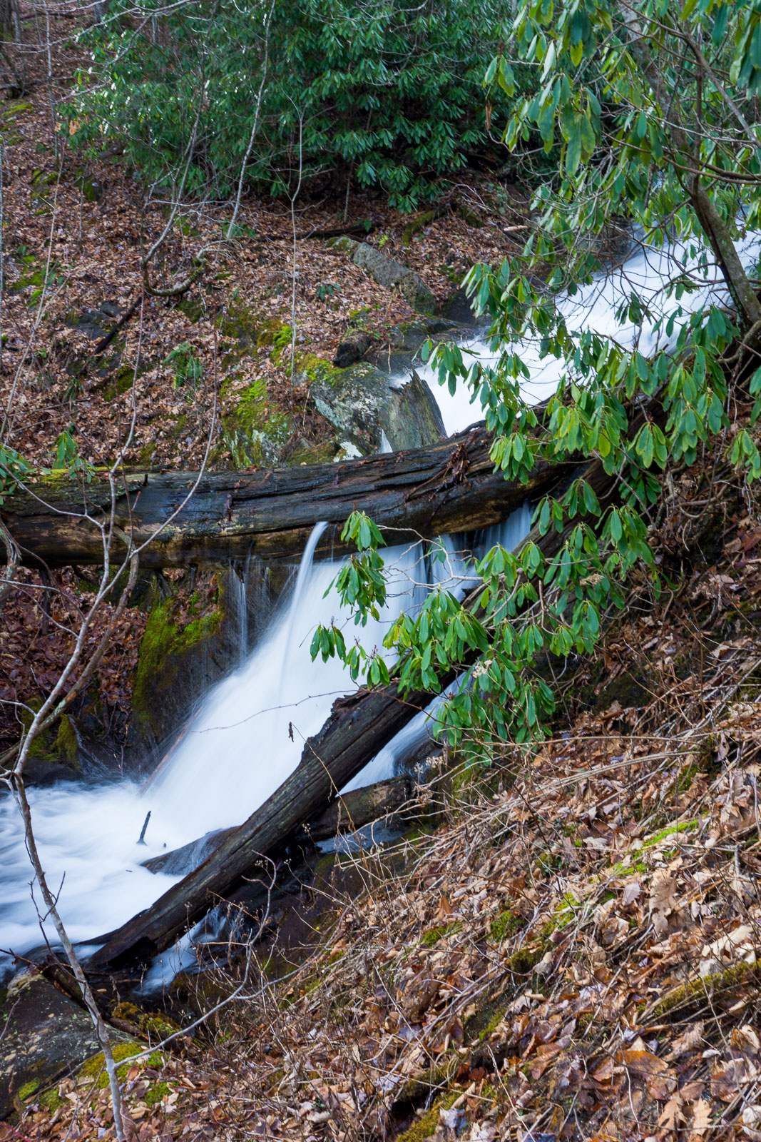 Middle Section of Waterfall on Tributary of Thompson Creek